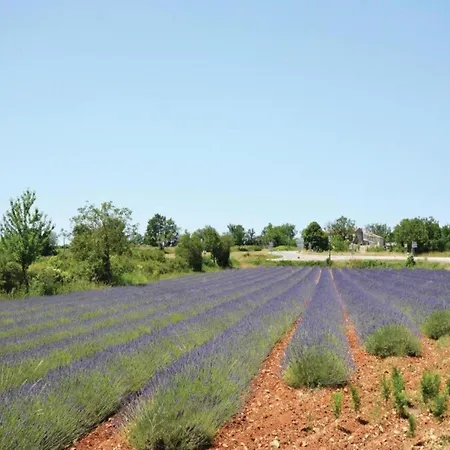 Neat On The Border Of The Ardeche